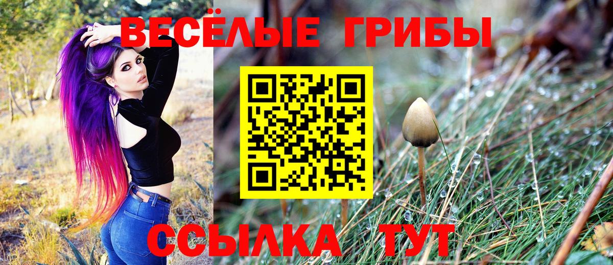 Галлюциногенные грибы мухоморы Великие Луки