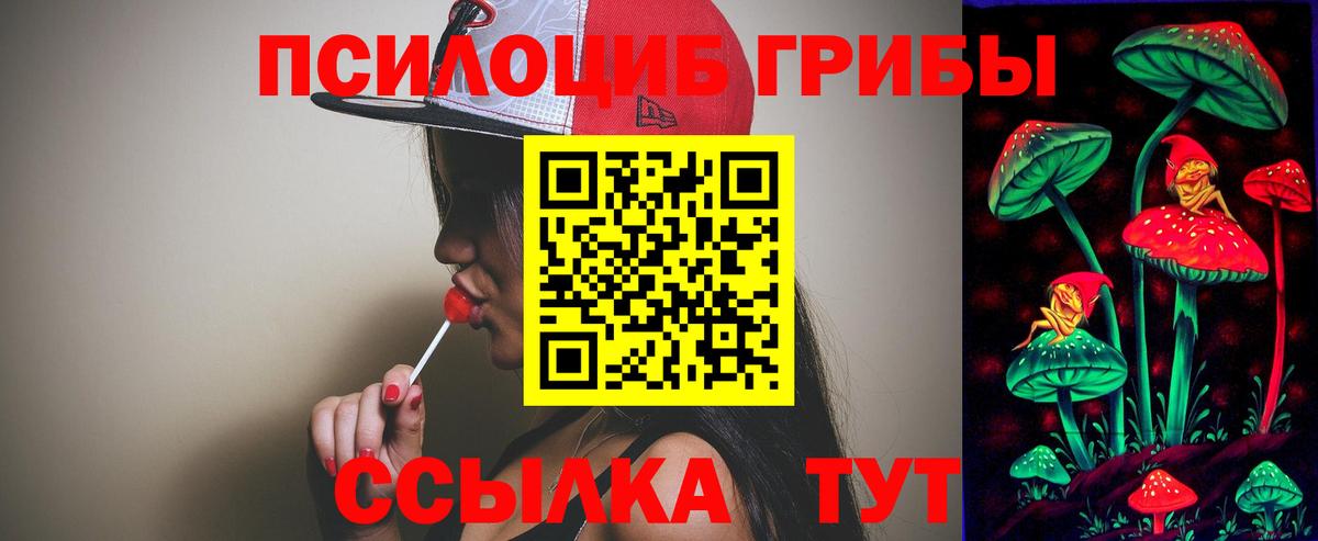 Галлюциногенные грибы прущие грибы  Вход с VPN  Галлюциногенные грибы MAGIC MUSHROOMS  Великие Луки 